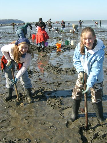 Clamming Girls!