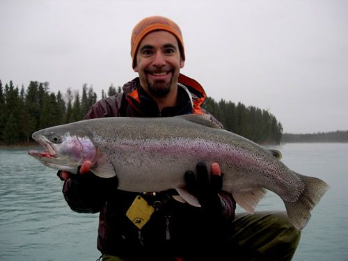 Gabe's huge Kenai River Rainbow Trout