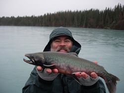 Walter's Arctic Char on the Kenai River