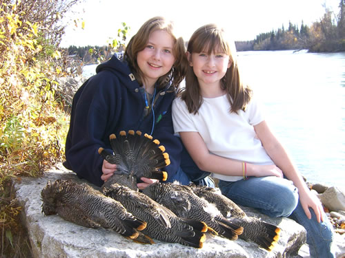 Grouse hunting on the Kenai Peninsula. Grouse hunting is getting good now 