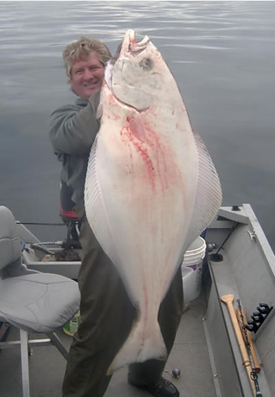 Halibut at 125 pounds